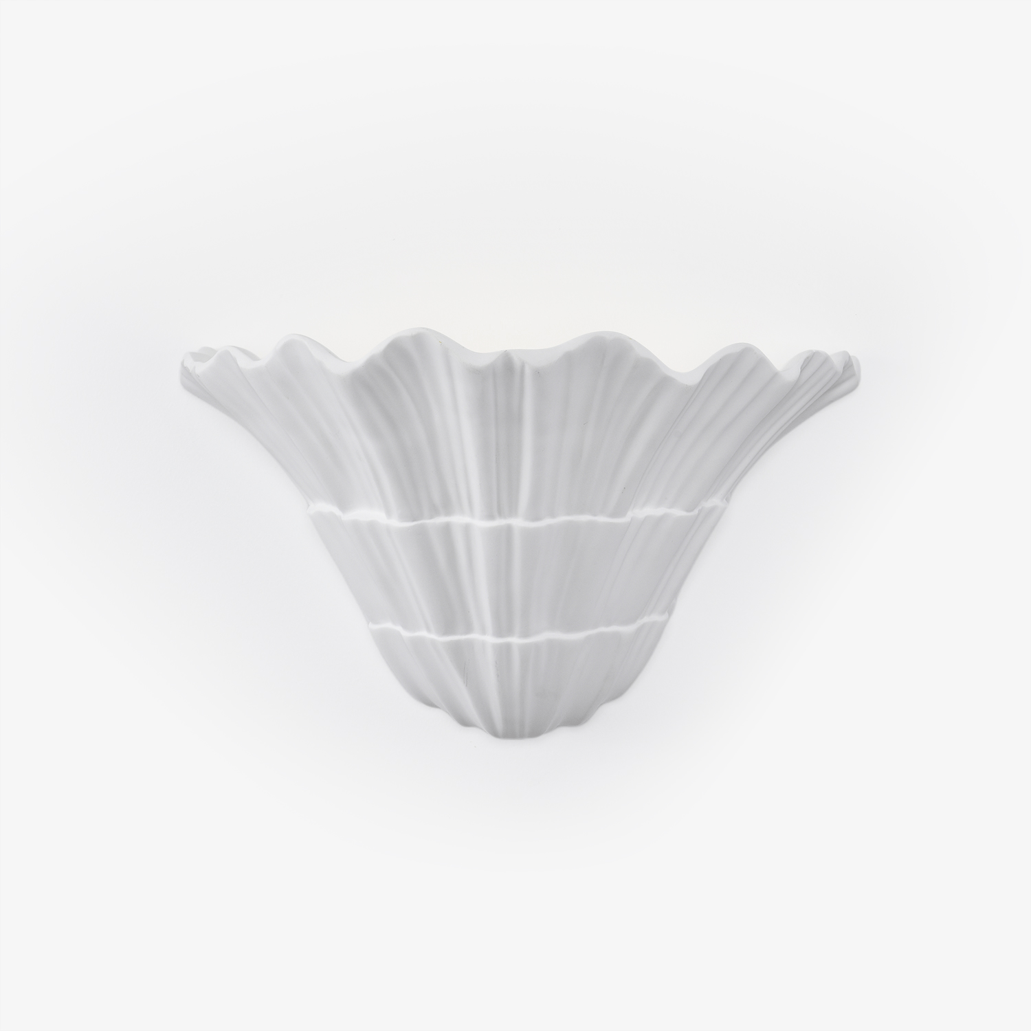 Marina Shell Wall Light