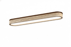 Strata Vein Linear Ceiling Light