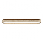 Strata Vein Linear Ceiling Light