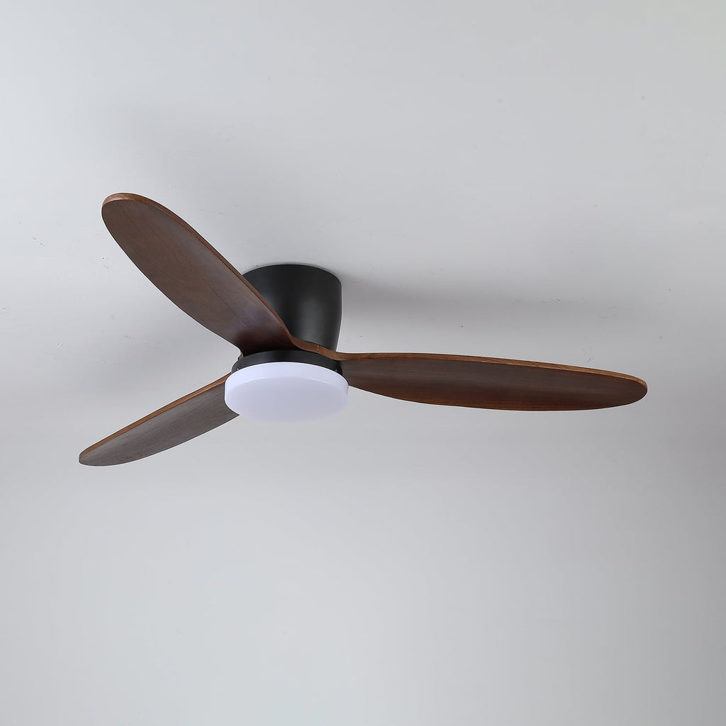 Nocturnus Ceiling Fan Light