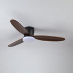 Nocturnus Ceiling Fan Light
