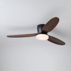 Nocturnus Ceiling Fan Light