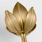 Alberto Lotus Bloom Wall Lamp