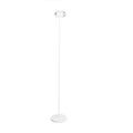 Ambient Floor Lamp