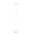 Ambient Floor Lamp