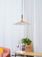 Aplomb Metal Pendant Lamp