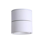 Artemis Surface Downlight
