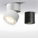 Artemis Surface Downlight