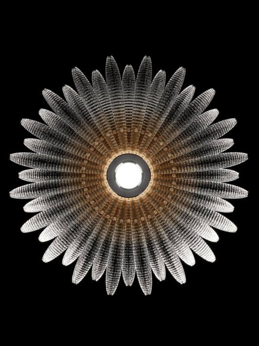 Aurelia Glass Petal Ceiling Light