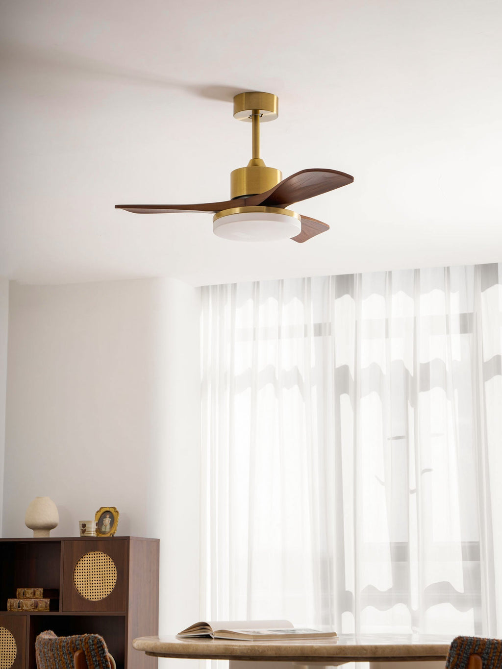 Aurevo Ceiling Fan Light
