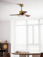 Aurevo Ceiling Fan Light