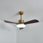 Aurevo Ceiling Fan Light