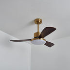 Aurevo Ceiling Fan Light