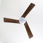 Averso Ceiling Fan Light