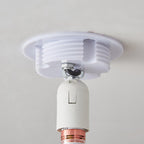 Balloon Glossy Ceiling Light