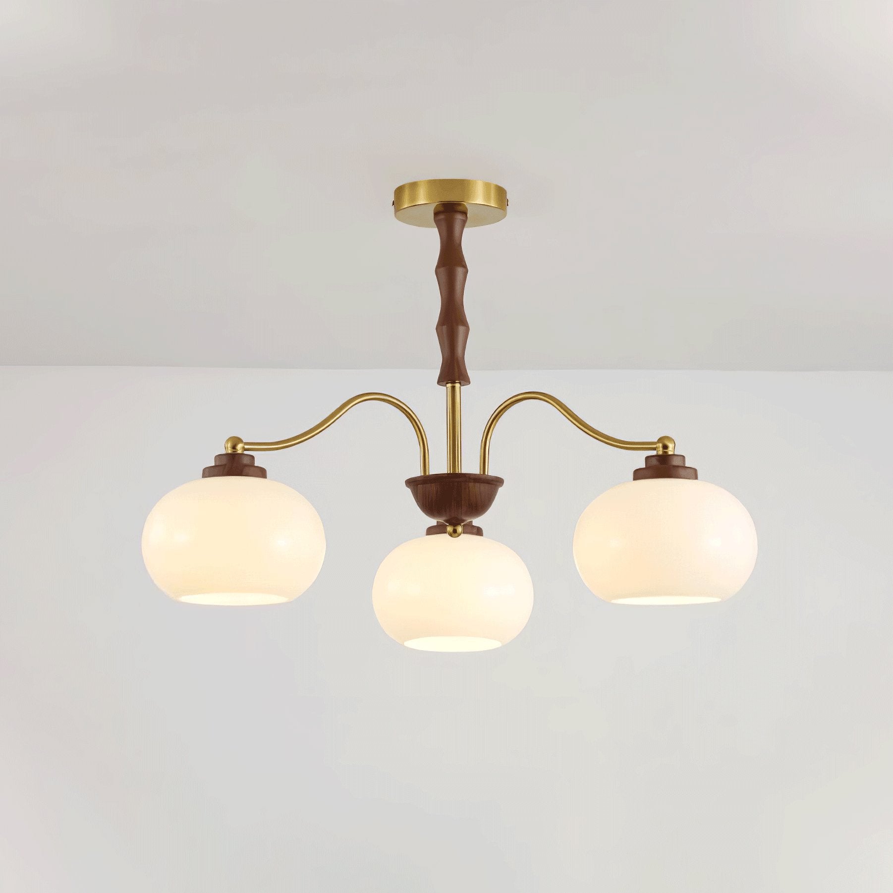Persimmon Glass Globe Ceiling fixture Chandelier