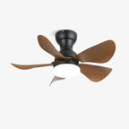 Small Arilia 29" Overhead fixture Ceiling Fan Light