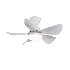Small Arilia 29" Overhead fixture Ceiling Fan Light