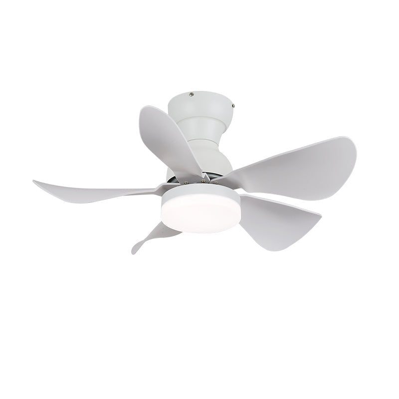 Small Arilia 29" Overhead fixture Ceiling Fan Light