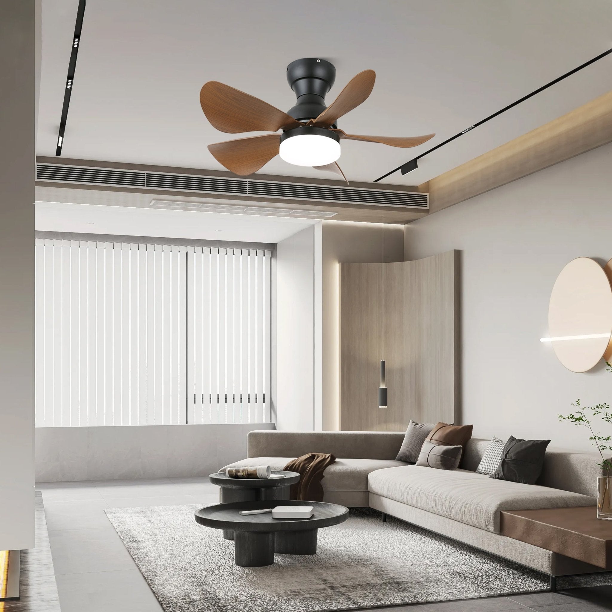 Small Arilia 29" Overhead fixture Ceiling Fan Light
