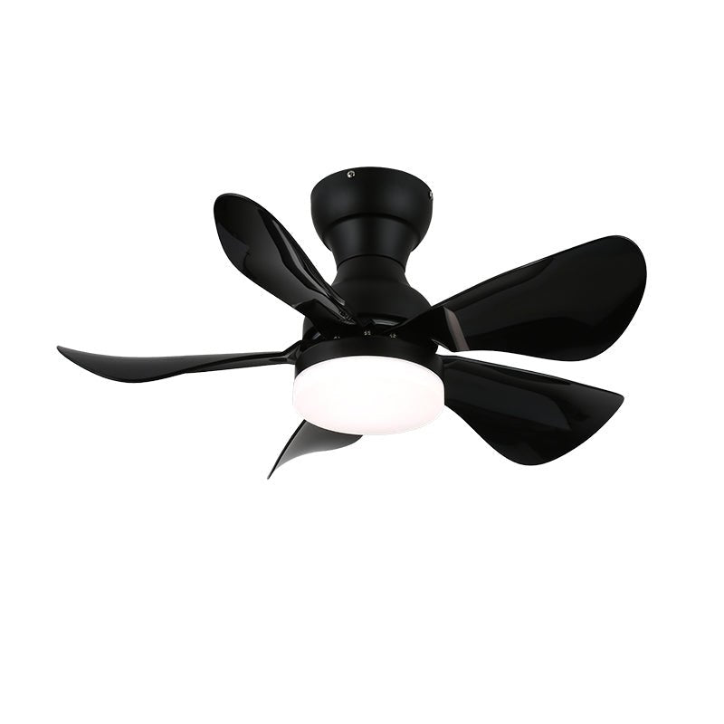 Small Arilia 29" Overhead fixture Ceiling Fan Light