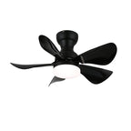 Small Arilia 29" Overhead fixture Ceiling Fan Light