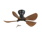 Small Arilia 29" Overhead fixture Ceiling Fan Light