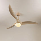 Traditional Flush mount light Ceiling Fan Light