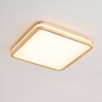 Cirro Ceiling Light