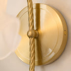 Curved Gooseneck Brass Glass Sconce