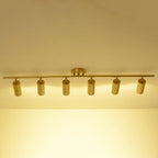 Cylinder Brass Series Ceiling Lamp