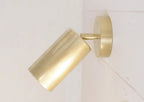 Cylinder Brass Series Ceiling Lamp