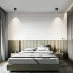 Modern Ember Recessed LED Ceiling fixture Downlight