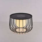 Rowan Cage Solar Lantern Outdoor Lamp