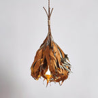 Dried Branch Leaf Houselight Pendant Lamp