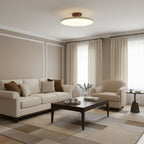 Drift Adjustable Ceiling Lamp