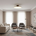 Drift Adjustable Ceiling Lamp