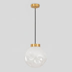 Ecar Ceiling light fitting Peandant Lamp