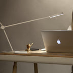 Eiko Task lamp Table Lamp