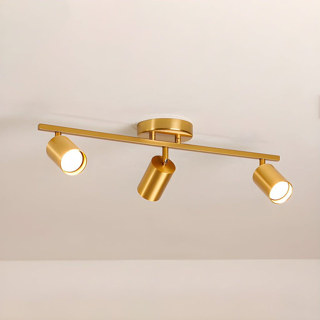 Evanna Ceiling fixture Ceiling Light
