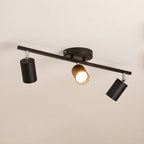 Evanna Ceiling fixture Ceiling Light