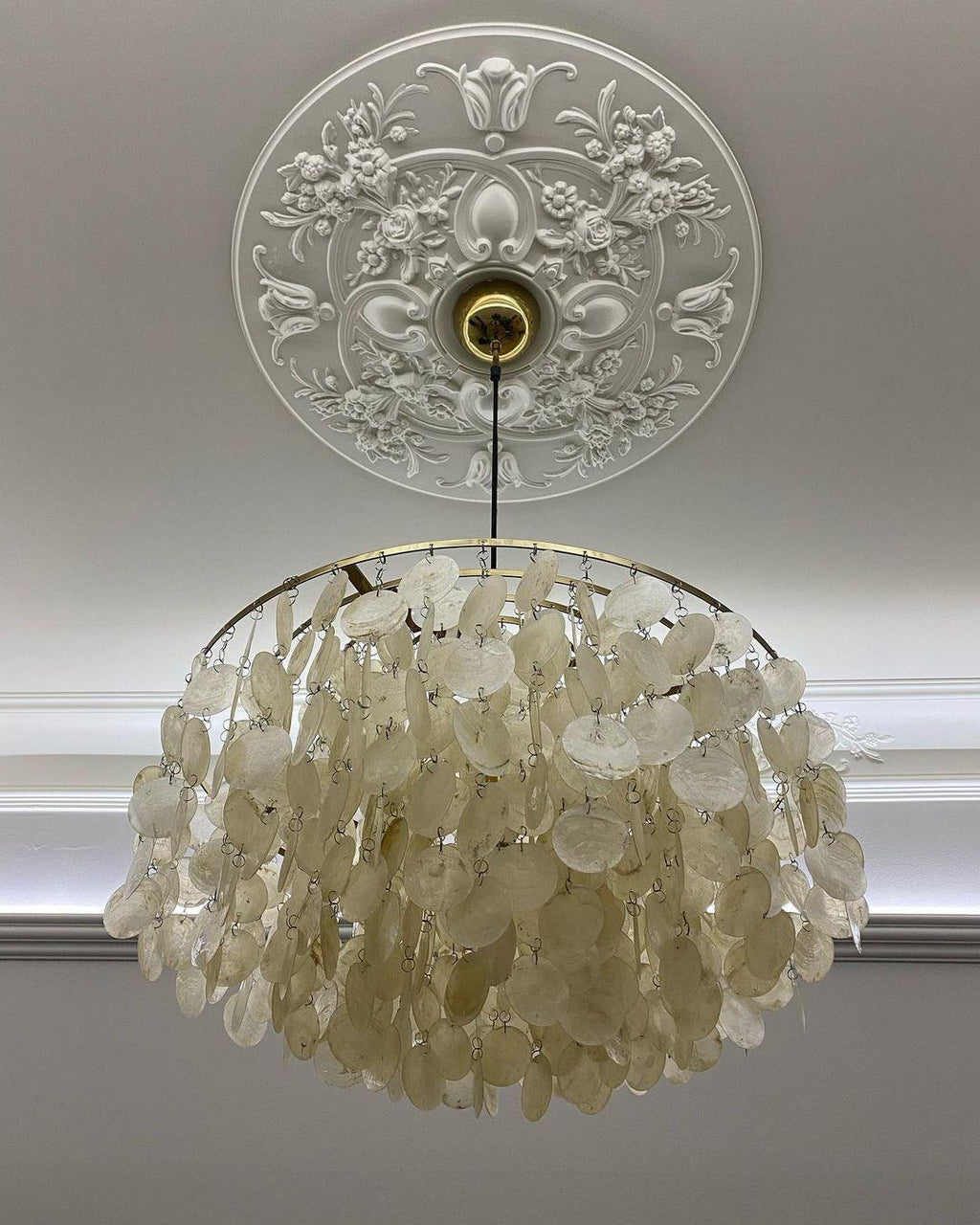 Round Shell Pendant light Chandelier