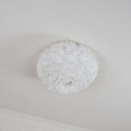 Feathered Ceiling-mounted light Ceiling Lamp