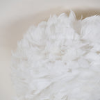 Feathered Ceiling-mounted light Ceiling Lamp