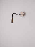 Flexi Hose Wall-mounted light Wall Light