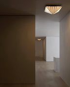 Fragment Overhead fixture Celing Lamp