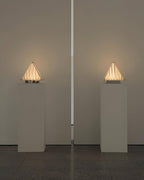 Fragment Accent lamp Table Lamp