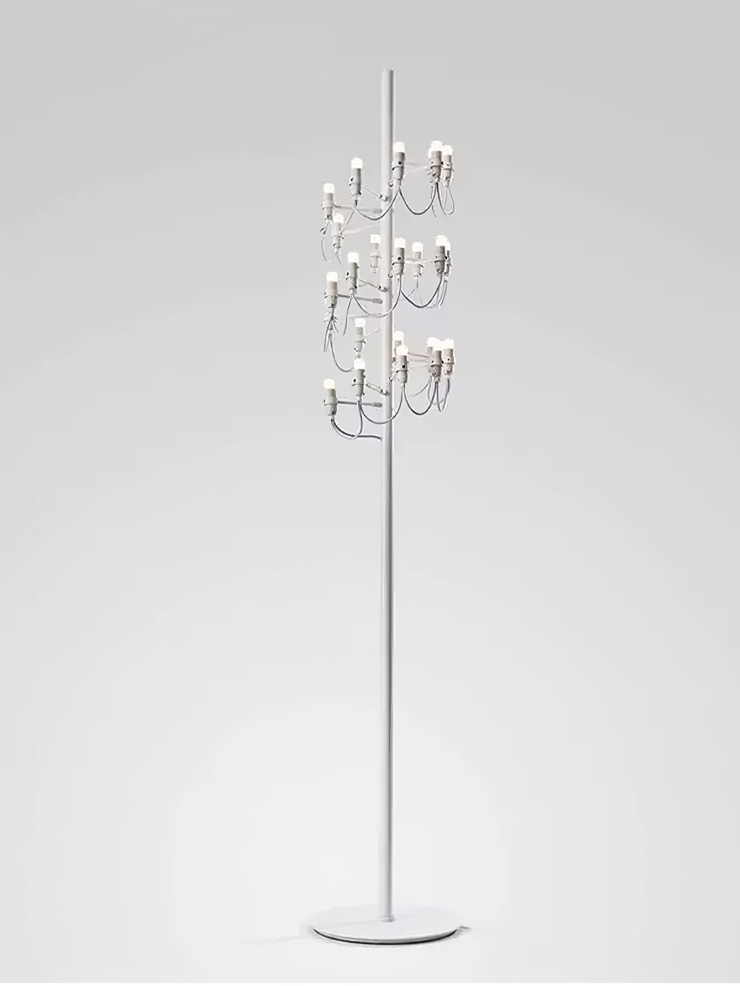 Fruit Uplight Lamp Floor Lamp