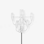 Fruit Plug-in Bracket light Wall Lamp