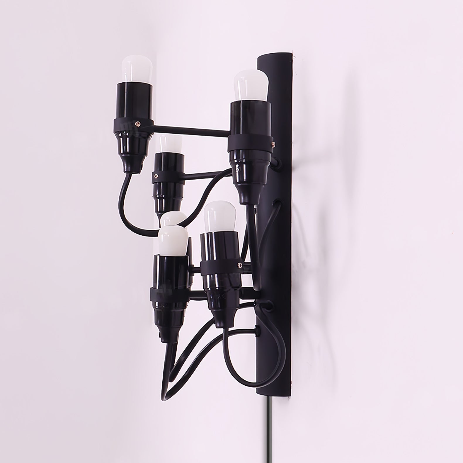 Fruit Plug-in Bracket light Wall Lamp